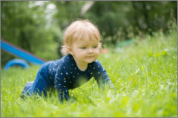 10-12개월 아기 놀이 - 인지 발달법 완전 가이드