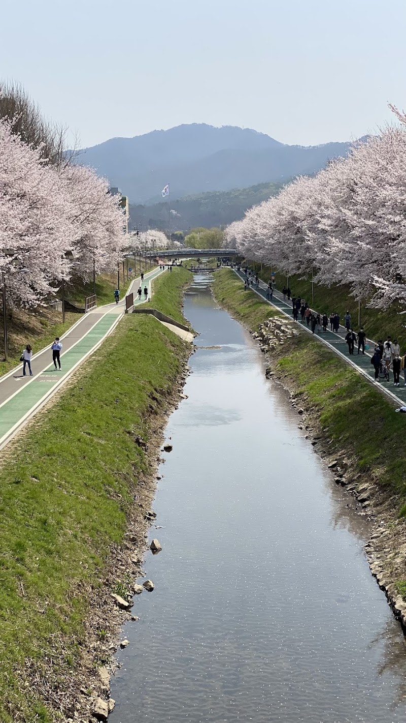 양재천 산책로 - 강남구 가족 산책 코스 (관련이미지)