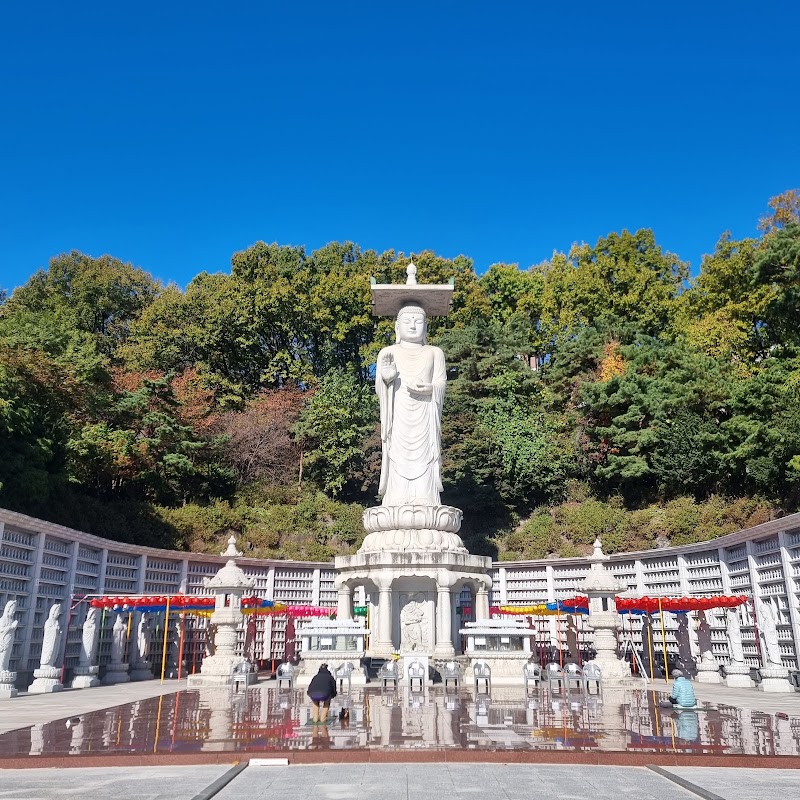 봉은사 - 강남구 삼성동 전통 사찰 (관련이미지)