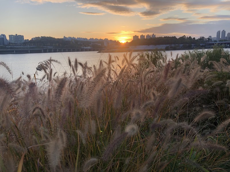 현대백화점 압구정본점 - 강남구 프리미엄 백화점 (관련이미지)