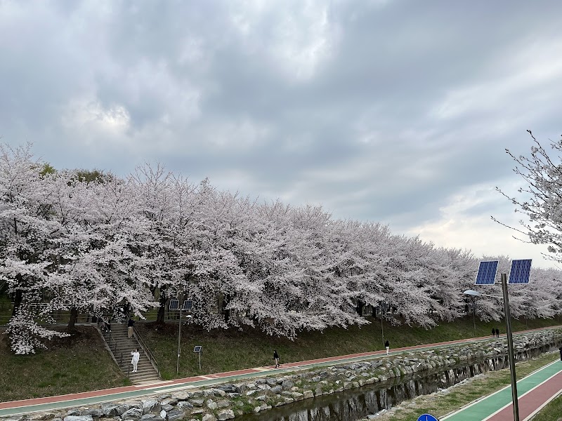 도곡근린공원 - 강남구 도곡동 숲 산책 명소 (관련이미지)