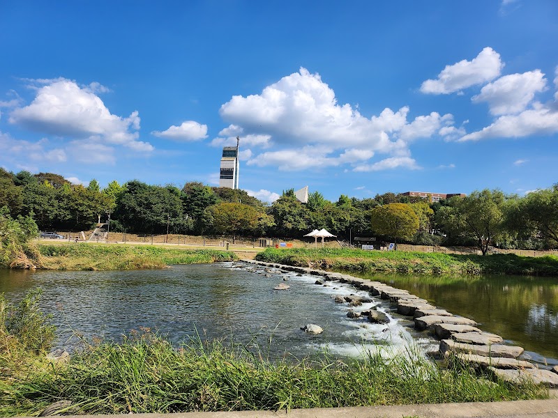 대모산 등산로 - 강남구 일원본동 가족 등산 명소 (관련이미지)
