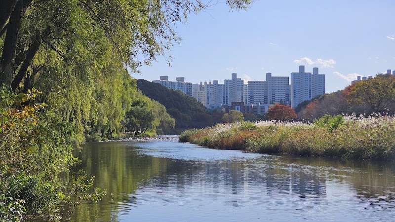서울 일원동·근처 아이랑 가볼만한곳 5곳 - 강남구 가족 나들이 추천