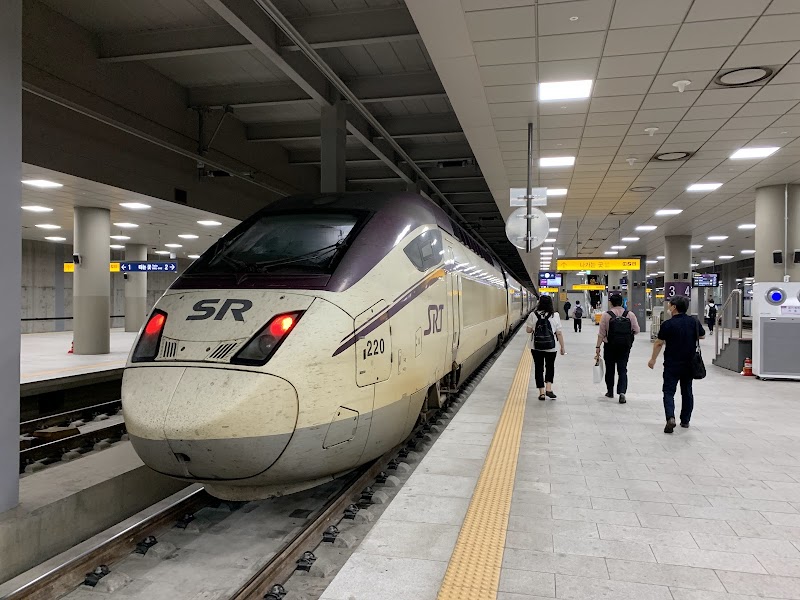 서울 수서동·근처 아이랑 가볼만한곳 5곳 - 강남구 가족 나들이 추천