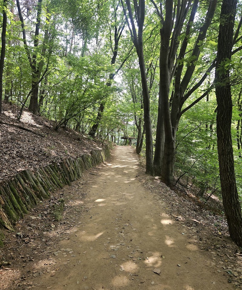 대모산 등산로 - 강남구 수서동 가족 등산 명소 (관련이미지)