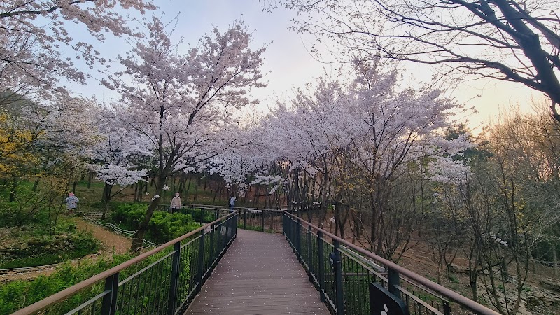 서울 세곡동·근처 아이랑 가볼만한곳 5곳 - 강남구 가족 나들이 추천