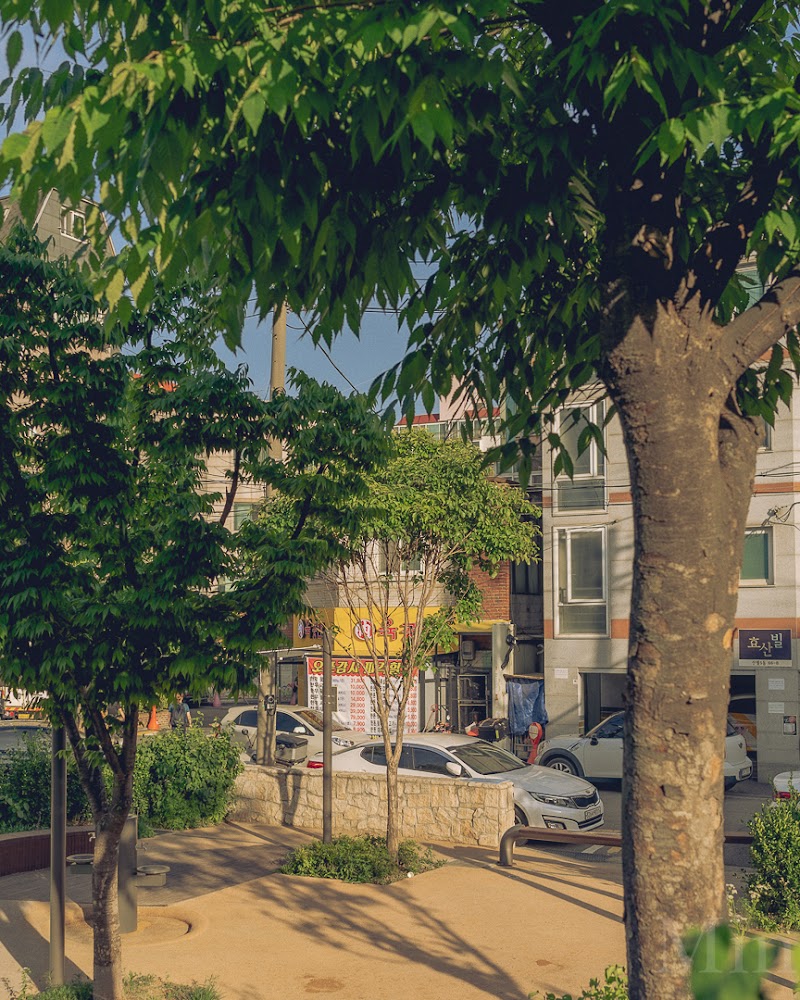 북서울꿈의숲 공원 전경 - 송중동, 강북구 (관련이미지)