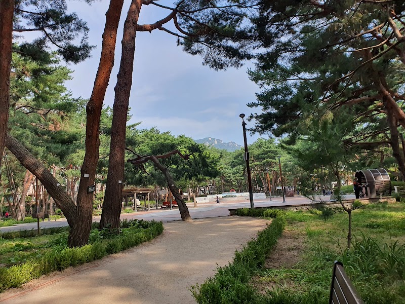 솔밭근린공원 소나무숲 - 송천동, 강북구 (관련이미지)