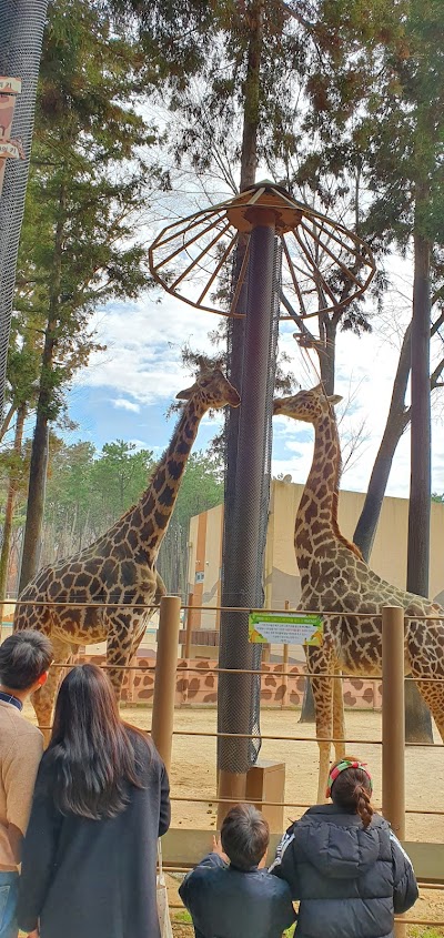 부산어린이대공원