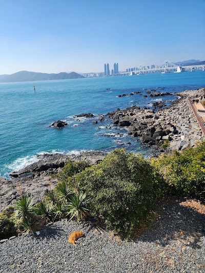 동백섬 (동백공원)