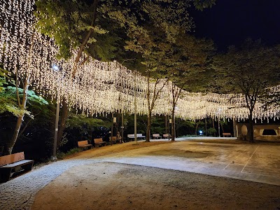 사직동 도심 산책로