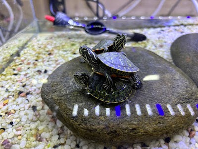 애니멀앤아쿠아(광주수족관)