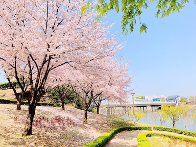 금호강 강변공원
