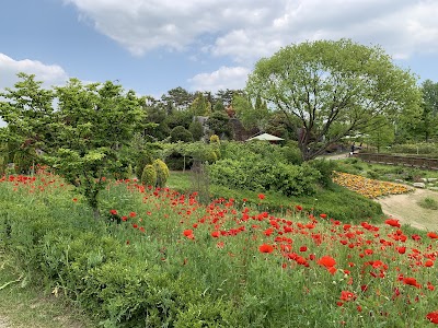 한밭수목원 어린이 놀이터