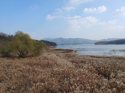 대덕구 숲생태여행 프로그램