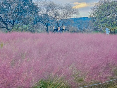 금강 로하스공원