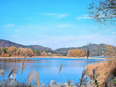 대청호오백리길