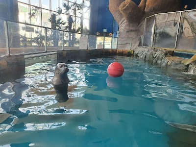 대전 문창동 아이랑 가볼만한곳 7곳 - 중구 가족 나들이 추천