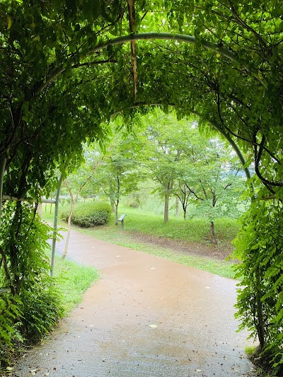 경안천 습지생태공원